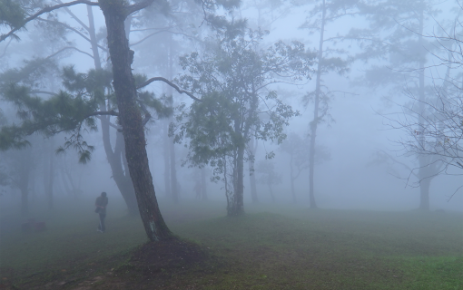 7 Reasons to Fall in Love with Phu Ruea