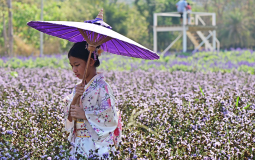 Japanese & Korean Vibes, Right Here in Khao Yai